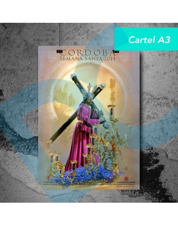 CARTELES A3